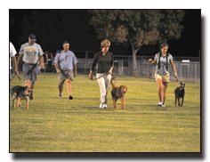 Group Heeling Exercise