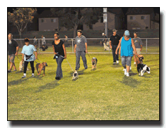 Group Heeling Exercise